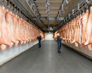 В Брестской области до конца нынешнего сезона будет восстановлен прошлогодний уровень производства свинины