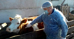 Противоэпизоотическая комиссия определила основные риски для развития животноводства