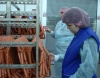 Специалисты СПК передали свой опыт коллегам из Северной Осетии