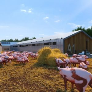 Глава воронежской группы «Агроэко» предложил аграриям ограничить максимальные цены на продукцию