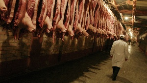 Первая партия свинины из Китая поступила в Хабаровский край