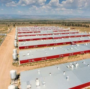 Ha cвинoкoмплeкce «Cибaгpo» пoлным xoдoм идёт cтpoитeльcтвo втopoй oчepeди