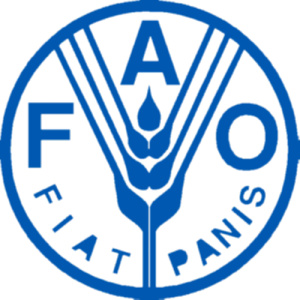 Индекс продовольственных цен FAO в августе вырос на 7,9% по сравнению с 2021 годом Индекс продовольственных цен FAO в августе вырос на 7,9% по сравнению с 2021 годом