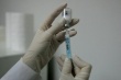 ФГБУ «Федеральный центр охраны здоровья животных» поставил эмульсионной вакцину против ящура в Ирак