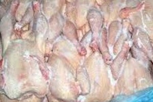 Потенциально опасных цыплят отправили на анализы в Хабаровске