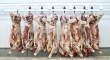 Госконтроль Беларуси обезвредил преступную группу, которая занималась перепродажей говядины