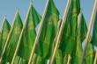 52 медали привезли оренбургские сельхозтоваропроизводители с берлинской «Зеленой недели»