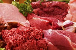 Россия ведет переговоры о доступе животноводческой продукции с 60 странами