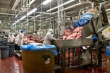 Сарапульский мясокомбинат планирует переоснастить в мясохладобойню на средства инвестора