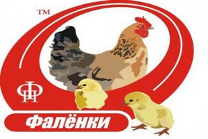 Кредиторы «Птицефабрики «Фаленская» на втором собрании отклонили план внешнего управления предприятием Кредиторы «Птицефабрики «Фаленская» на втором собрании отклонили план внешнего управления предприятием