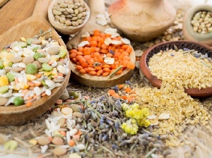 Полищук: Крым испытывает трудности с производством растительного белка