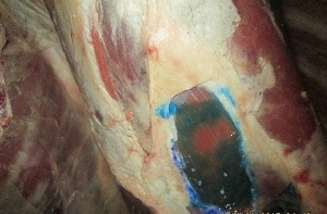 В Самаре утилизирована очередная партия мяса, завезённая без документов