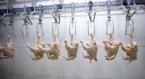 Ставрополье на третьем месте в России по производству мяса птицы
