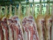 Мировой рынок свинины
