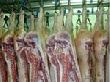 Мировой рынок свинины Мировой рынок свинины