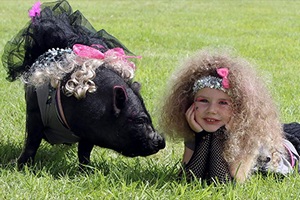 Свинья стала победительницей конкурса красоты для овец на фестивале в Ирландии