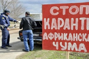 Волгоградская область вводит дополнительные меры защиты от АЧС Волгоградская область вводит дополнительные меры защиты от АЧС