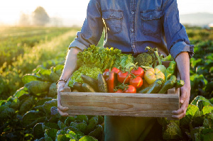 Правительство предложило меры по поддержке фермеров