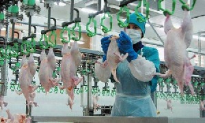 В 2015 году Россия нарастит производство мяса птицы на 200 тыс. т - Росптицесоюз