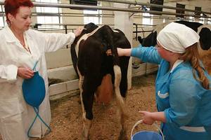 В Астраханской области стало больше специалистов по осеменению крупного рогатого скота