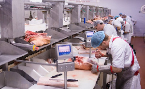 Крупный российский холдинг намерен купить «Кудряшовский мясокомбинат»