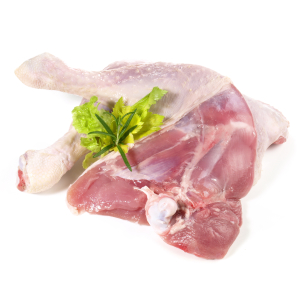 ГК «Дамате» обучает сотрудников на племрепродукторе индейки в Тюменской области