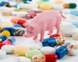 В Дании увеличилось терапевтическое использование антибиотиков в животноводстве