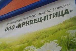 Липецкая компания «Кривец-птица» увеличит объемы производства Липецкая компания «Кривец-птица» увеличит объемы производства