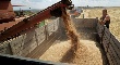 Господдержка АПК по новой программе до 2020 г удвоится - Минсельхоз РФ Господдержка АПК по новой программе до 2020 г удвоится - Минсельхоз РФ