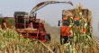 Россия резко сократила импорт продуктов питания