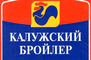 На птицефабрике в Калужской области погибло 113000 голов птицы На птицефабрике в Калужской области погибло 113000 голов птицы