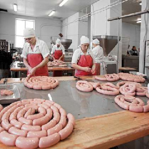 В Курской области беженцев трудоустроили на мясокомбинаты В Курской области беженцев трудоустроили на мясокомбинаты