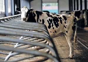 Эксперты недовольны тем, что основные дотации Минсельхоз обещает крупным агрохолдингам