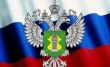 Россельхознадзор поддержал введение уголовного наказания за фальсификацию продуктов Россельхознадзор поддержал введение уголовного наказания за фальсификацию продуктов