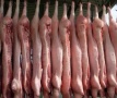 В Алтайском крае запуск свинокомплекса в с. Боровлянка Ребрихинского района позволит компании "Альтаир-Агро" увеличить поголовье свиней на 8 тыс.