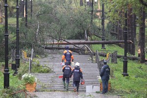 На Сахалине от октябрьских циклонов пострадали 46 сельхозпредприятий
