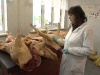 Свинину из Франции, привезенную в Смоленск, вернули производителю