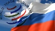 Год России в ВТО: краткие итоги