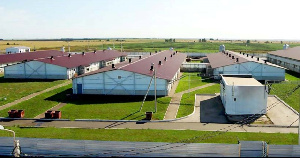 Русская аграрная группа остановила свиноводческий проект в Тамбовской области