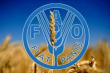 Азербайджан и FAO планируют реализовать четыре животноводческих проекта