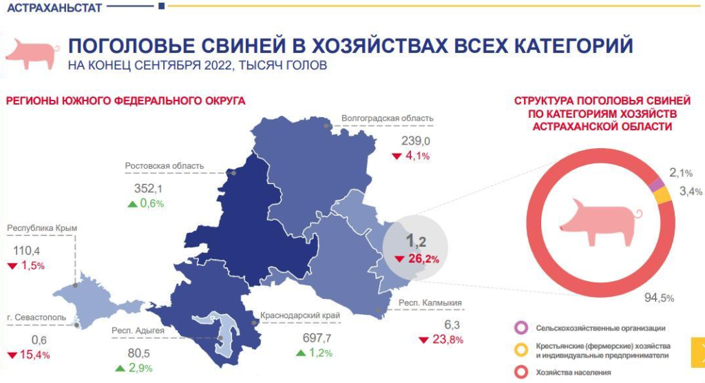 В Астраханской области в живых осталось 1200 поросят В Астраханской области в живых осталось 1200 поросят