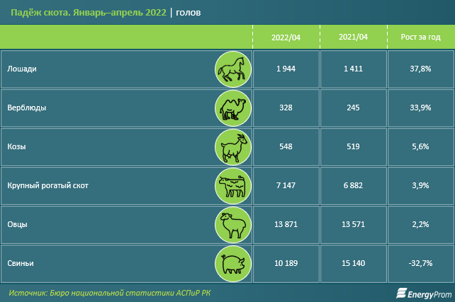 На фоне роста поголовья скота в Казахстане заметно увеличился и падёж