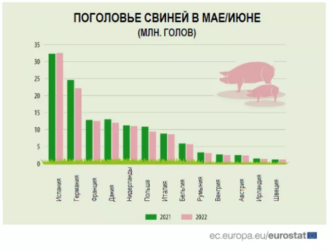 В Европе сокращается поголовье свиней и крупного рогатого скота В Европе сокращается поголовье свиней и крупного рогатого скота
