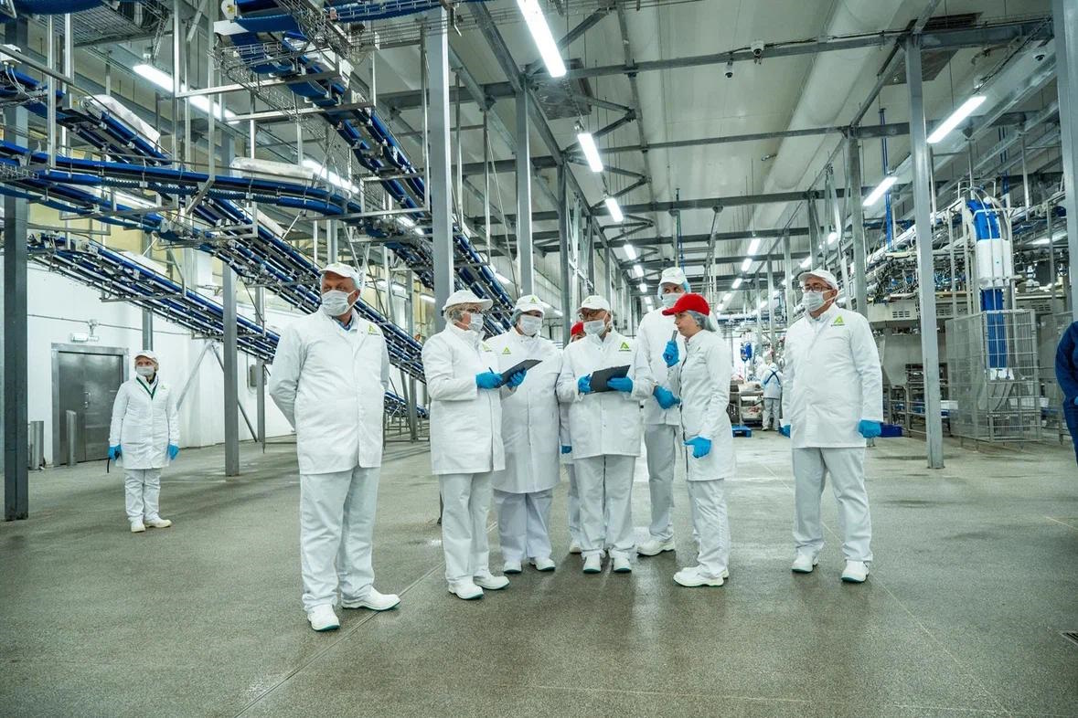 Прорубаем окно в Монголию Прорубаем окно в Монголию