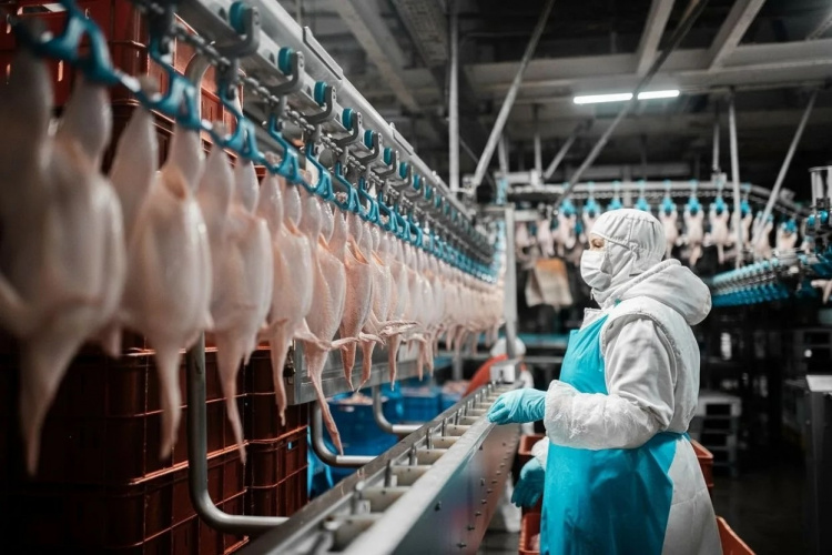 «ПРОДО Тюменский бройлер» подтвердил соответствие международным стандартам пищевой безопасности