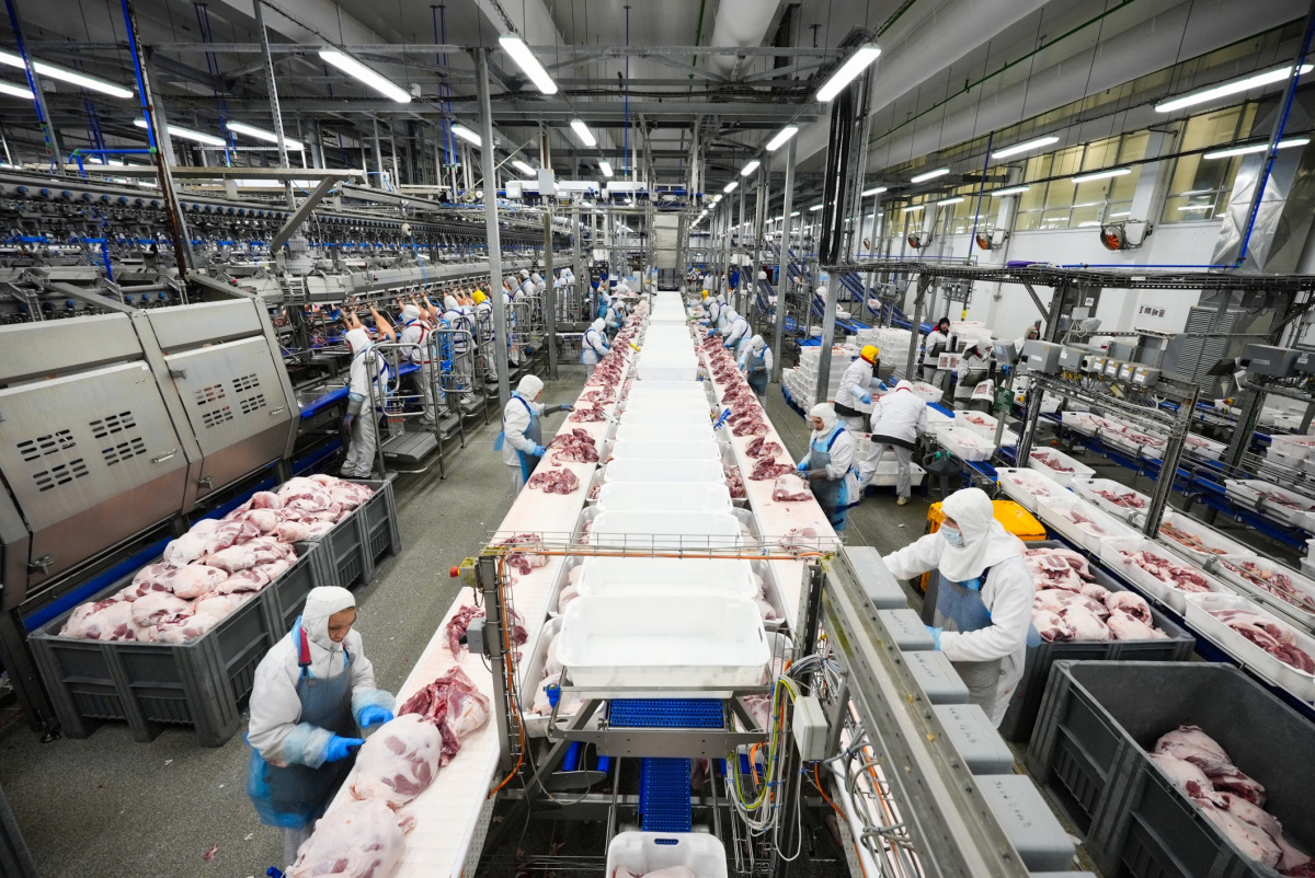 Мясоперерабатывающее предприятие АГРОЭКО увеличило выпуск продукции на 18% Мясоперерабатывающее предприятие АГРОЭКО увеличило выпуск продукции на 18%