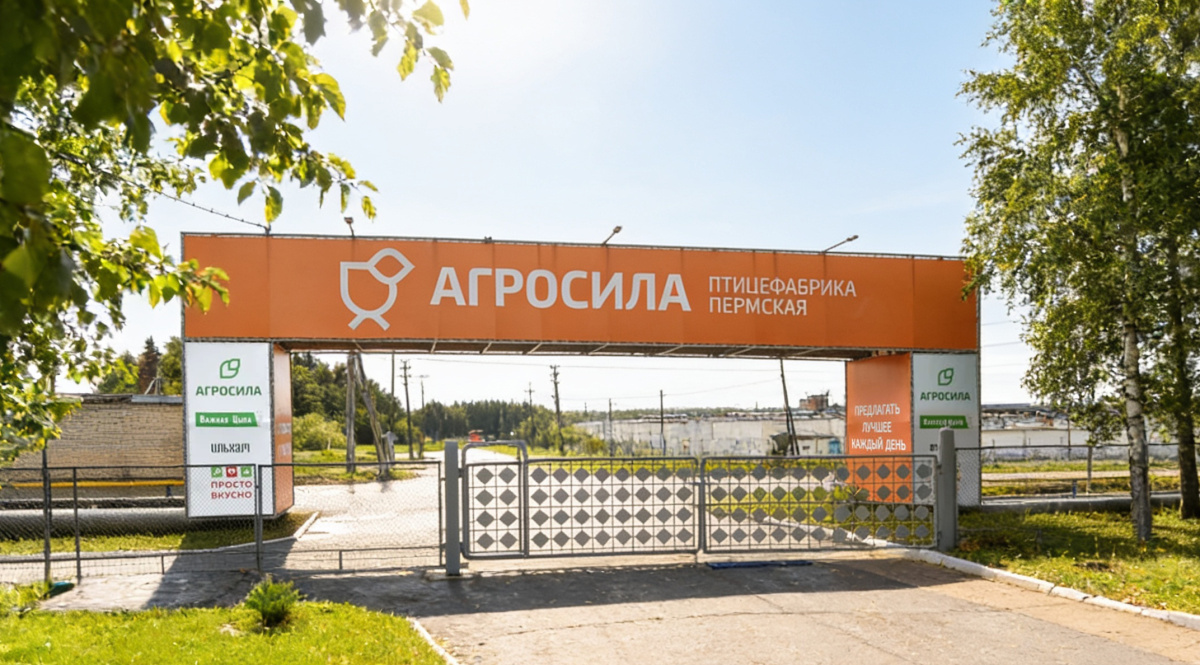 Курс на рост: холдинг «АГРОСИЛА» расширяет бройлерное производство за счёт масштабных инвестиций