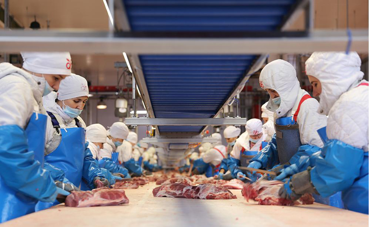 МПЗ релиз 2021.jpg