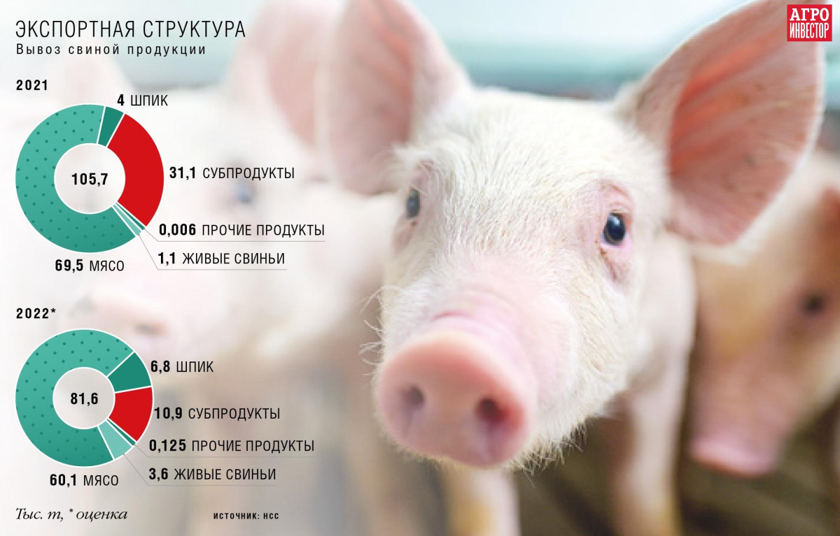 Новая «нормальность» российского свиноводства. Перспективы развития сектора в 2022—2025 годах