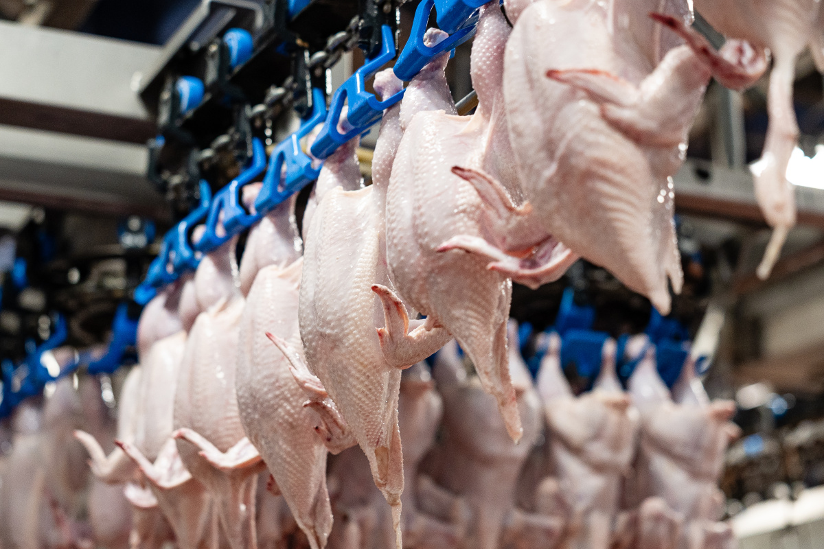 Группа «Черкизово» продала через биржу более 16 тысяч тонн мяса Группа «Черкизово» продала через биржу более 16 тысяч тонн мяса